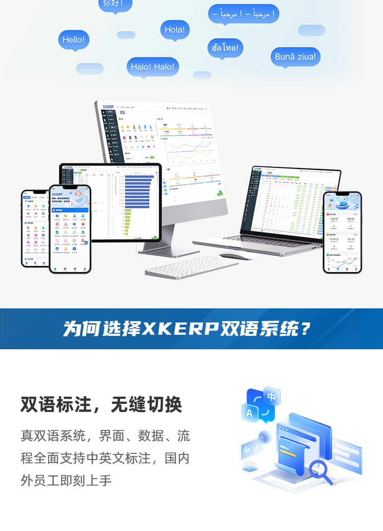 雙語ERP系統-詳情_03.png